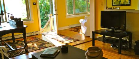 TV connectée, lecteur de DVD, livres