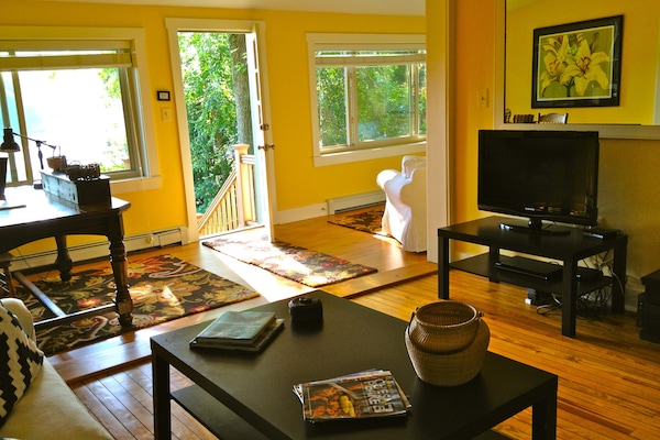 Älytelevisio, DVD-soitin, kirjoja