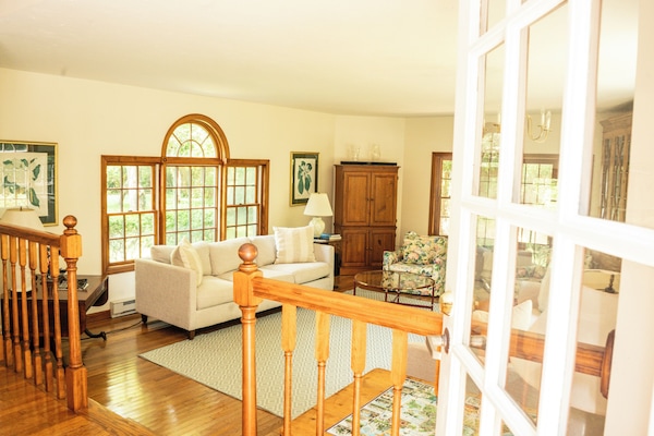 Sunken living room with two new large couches