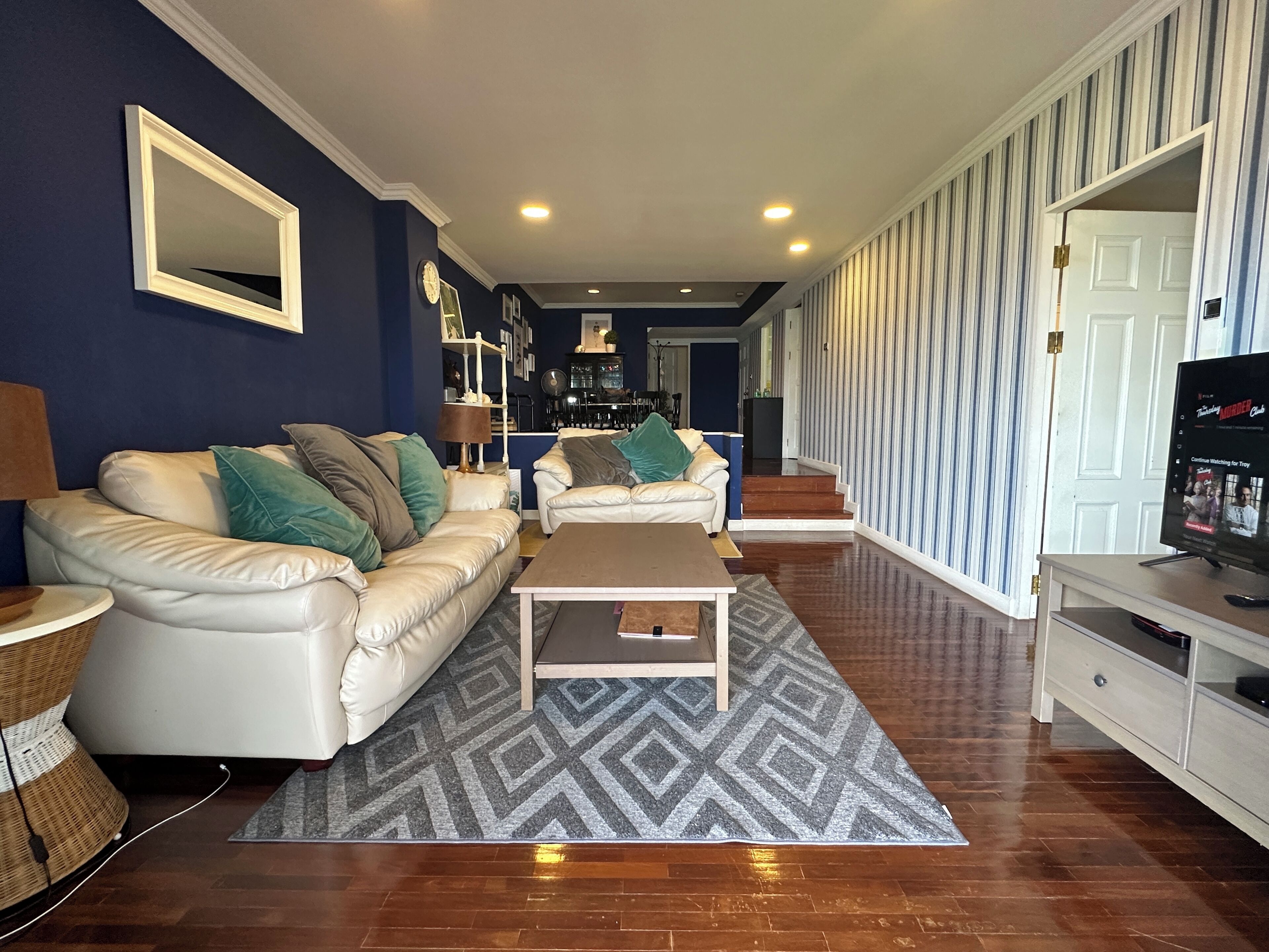 Televisión, reproductor de DVD, libros, videoteca