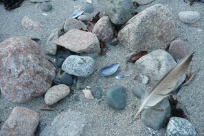 A collection of rocks and a single feather on a sandy surface. - Ocean front house with two private beaches-- on a peninsula--spectacular views! (Milbridge)