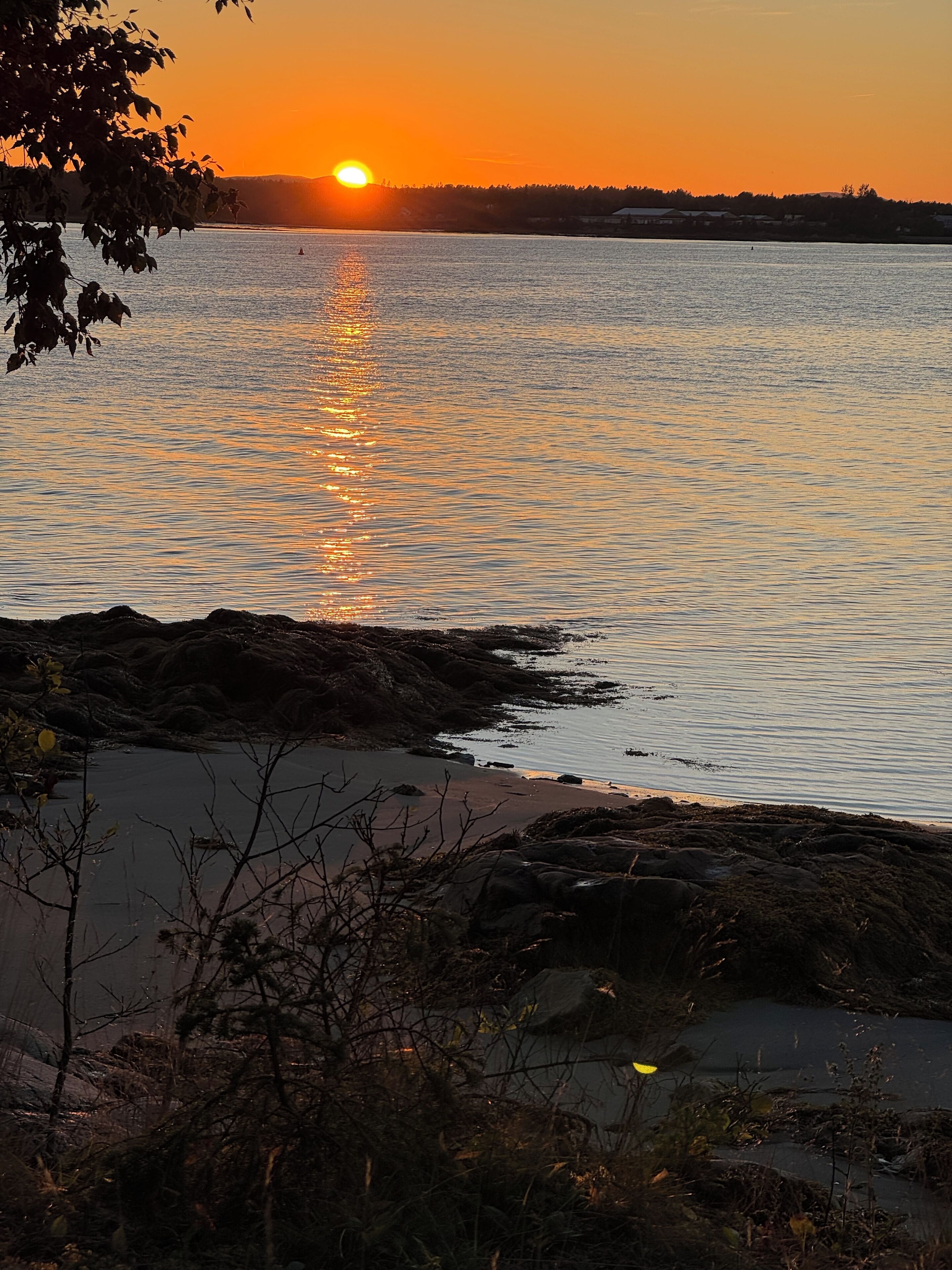 Un atardecer sobre un cuerpo de agua tranquilo con costa rocosa y vegetación escasa.