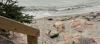 Ocean front house with two private beaches-- on a peninsula--spectacular views!