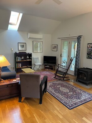 Smart TV, fireplace, books