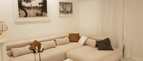 电视、壁炉、DVD 播放器、音乐库