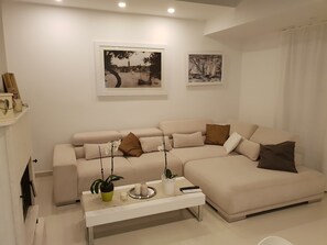 Fernseher, Kamin, DVD-Player, Musikbibliothek