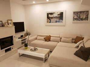 Fernseher, Kamin, DVD-Player, Musikbibliothek