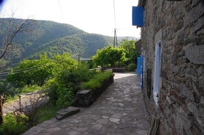 Property grounds - Authentic 19th century house near Vans (Malons-Et-Elze)