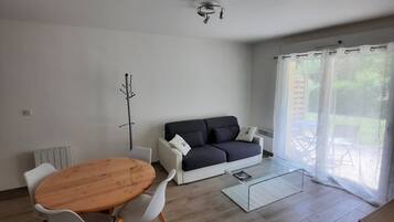 Télévision, lecteur de DVD, livres