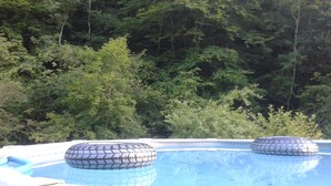 A swimming pool with two round, patterned floating loungers, surrounded by dense forest.