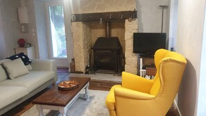 TV connectée, cheminée, lecteur de DVD, livres