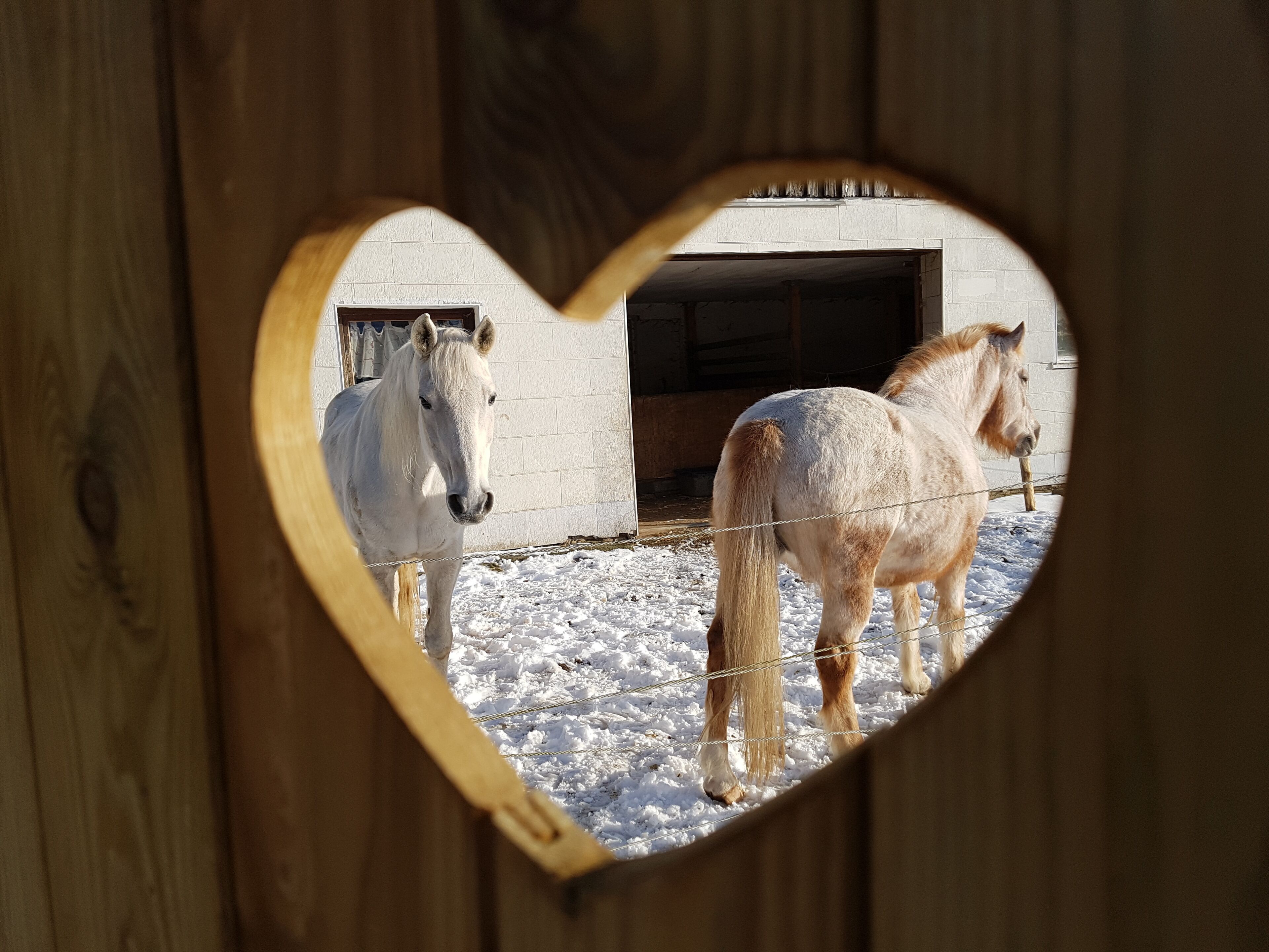Dreamlike yurt in the wild and romantic valley with hot pot (extra charge)