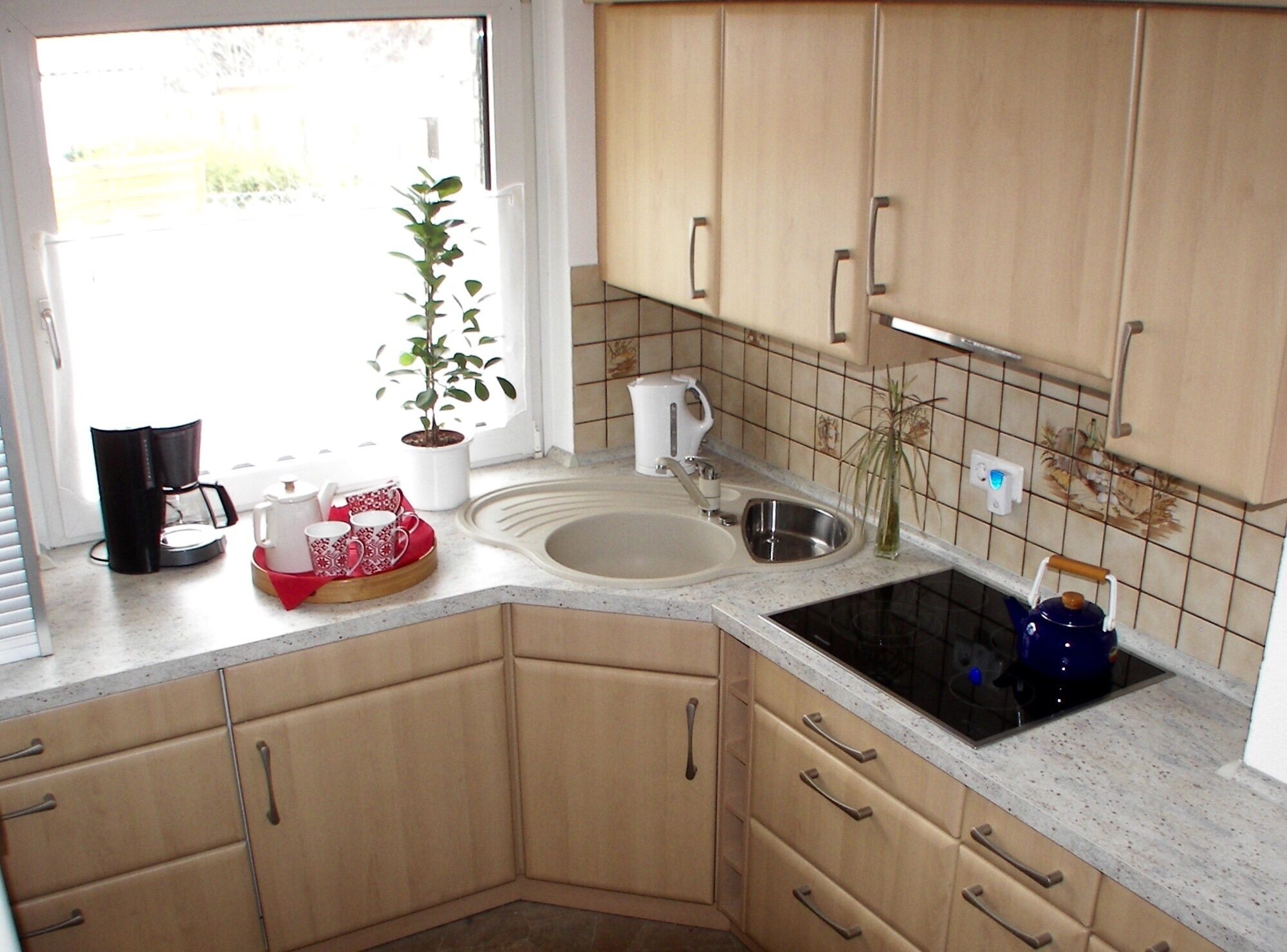 Abelia apartments in Helmstedt