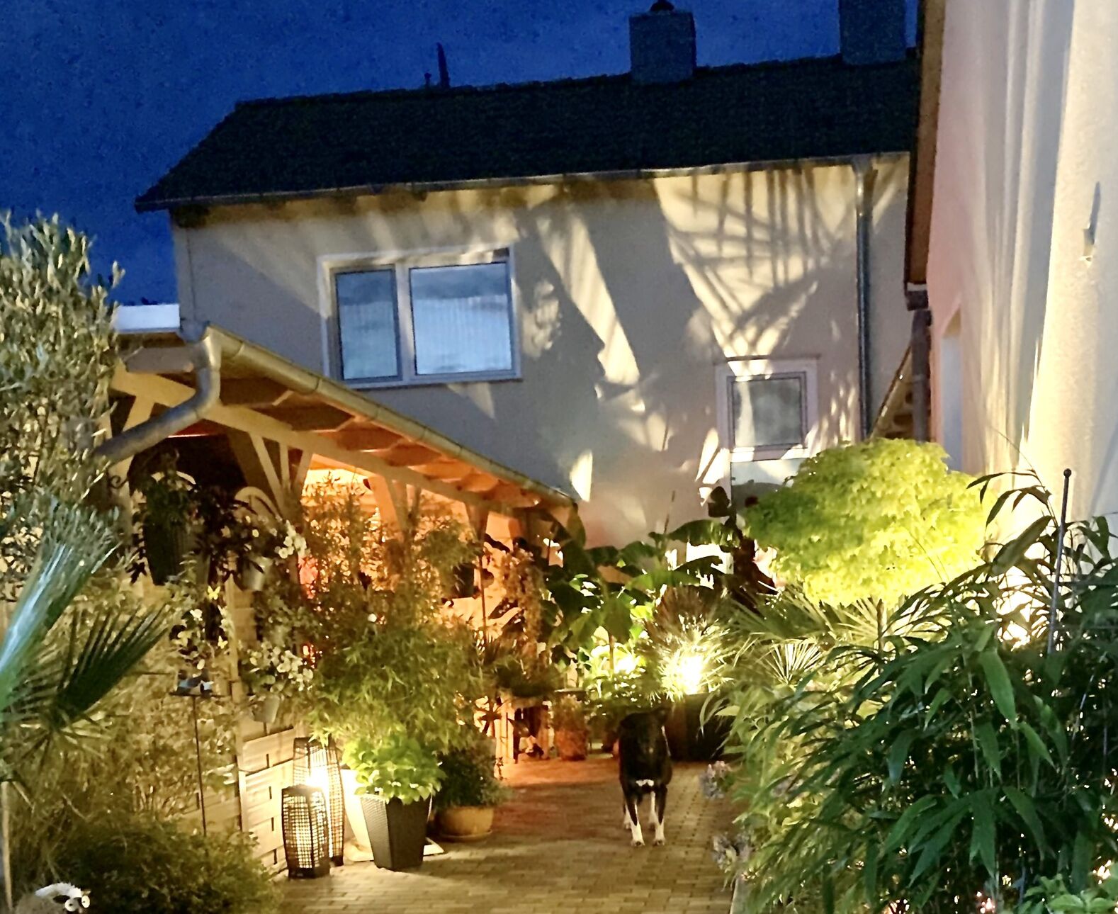 Abelia apartments in Helmstedt