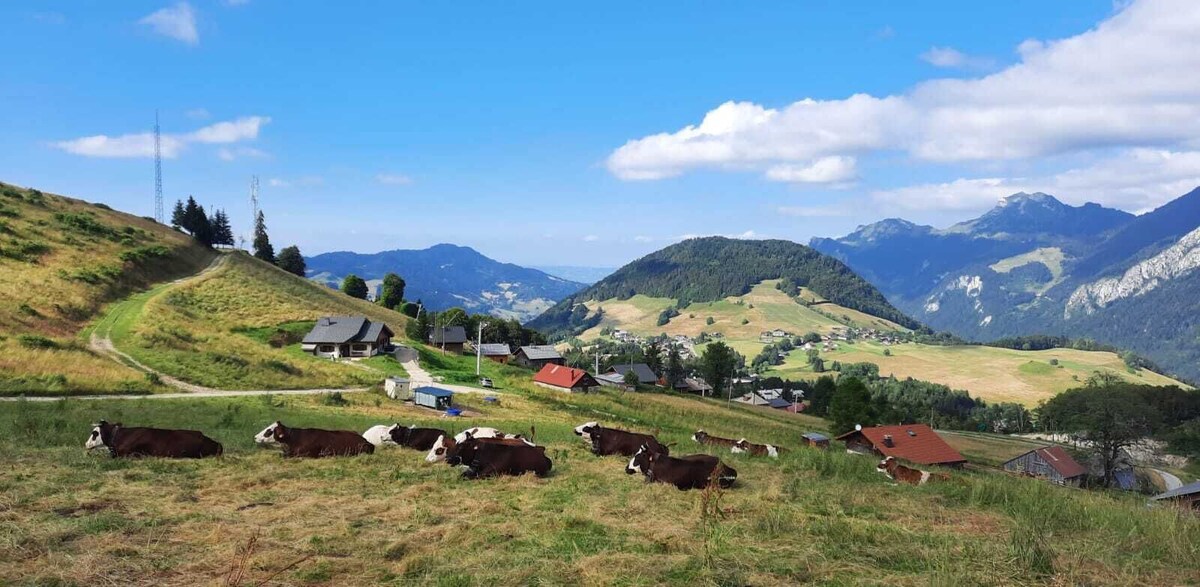 Image de profil de l’hôte