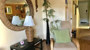 Smart TV, DVD player, books, video library