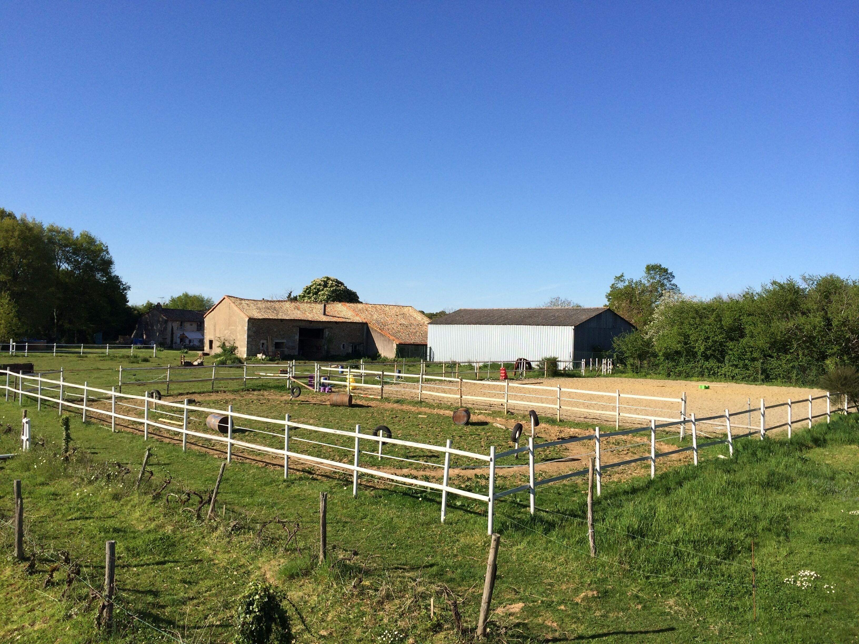 A rural farm with barns, fenced areas, and a clear sky.