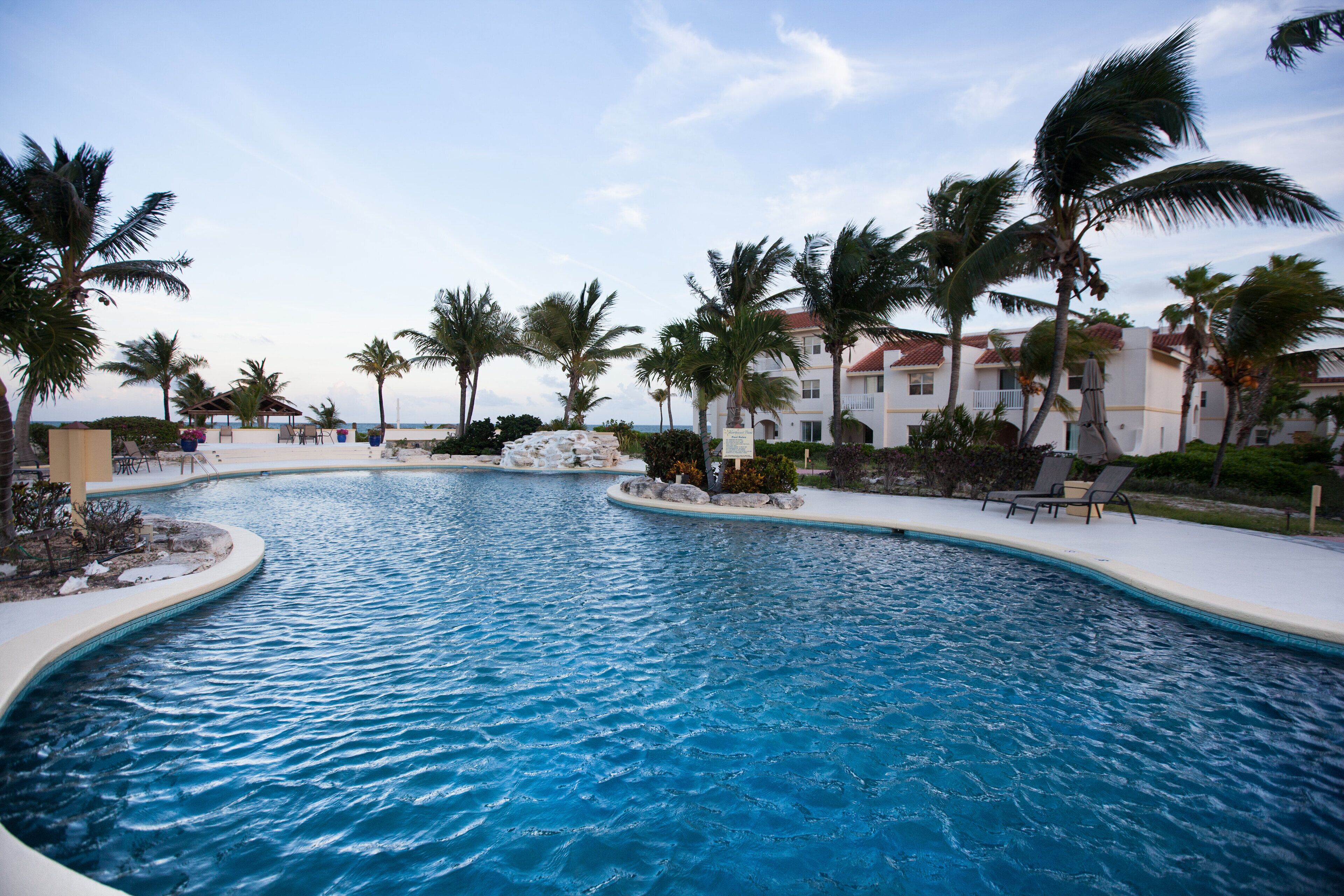 A swimming pool with palm trees and lounge chairs, surrounded by buildings.