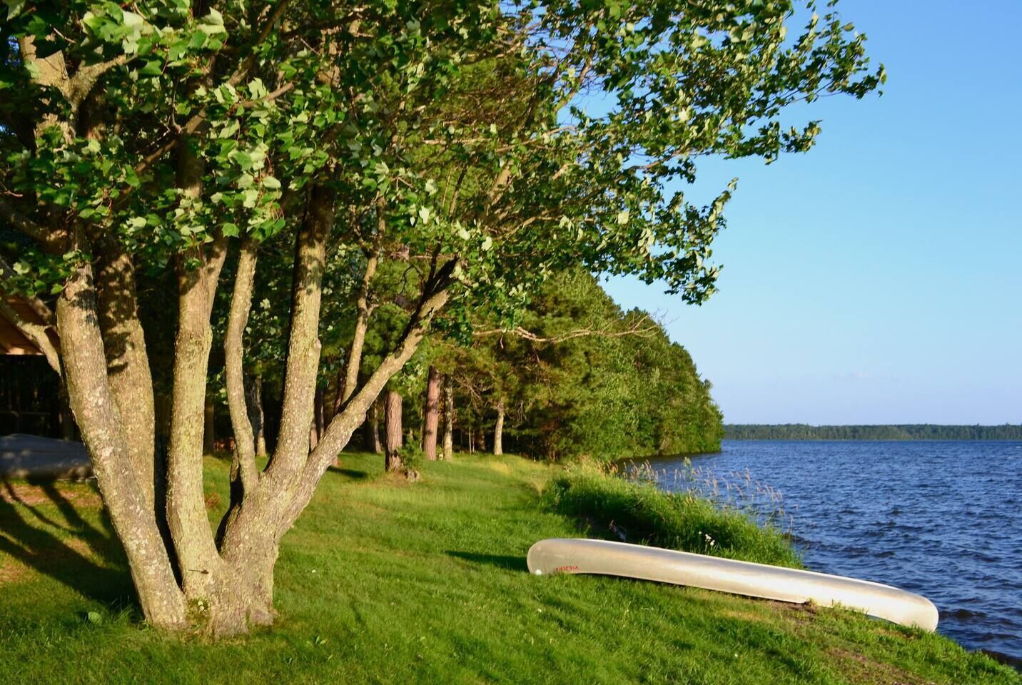 The shoreline