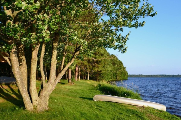 The shoreline