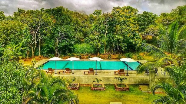 A poolside area with lounge chairs and umbrellas, surrounded by lush greenery and trees. - Hotel Saji-Sami (Mihintale)