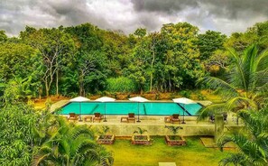A poolside area with lounge chairs and umbrellas, surrounded by lush greenery and trees. - Hotel Saji-Sami (Mihintale)