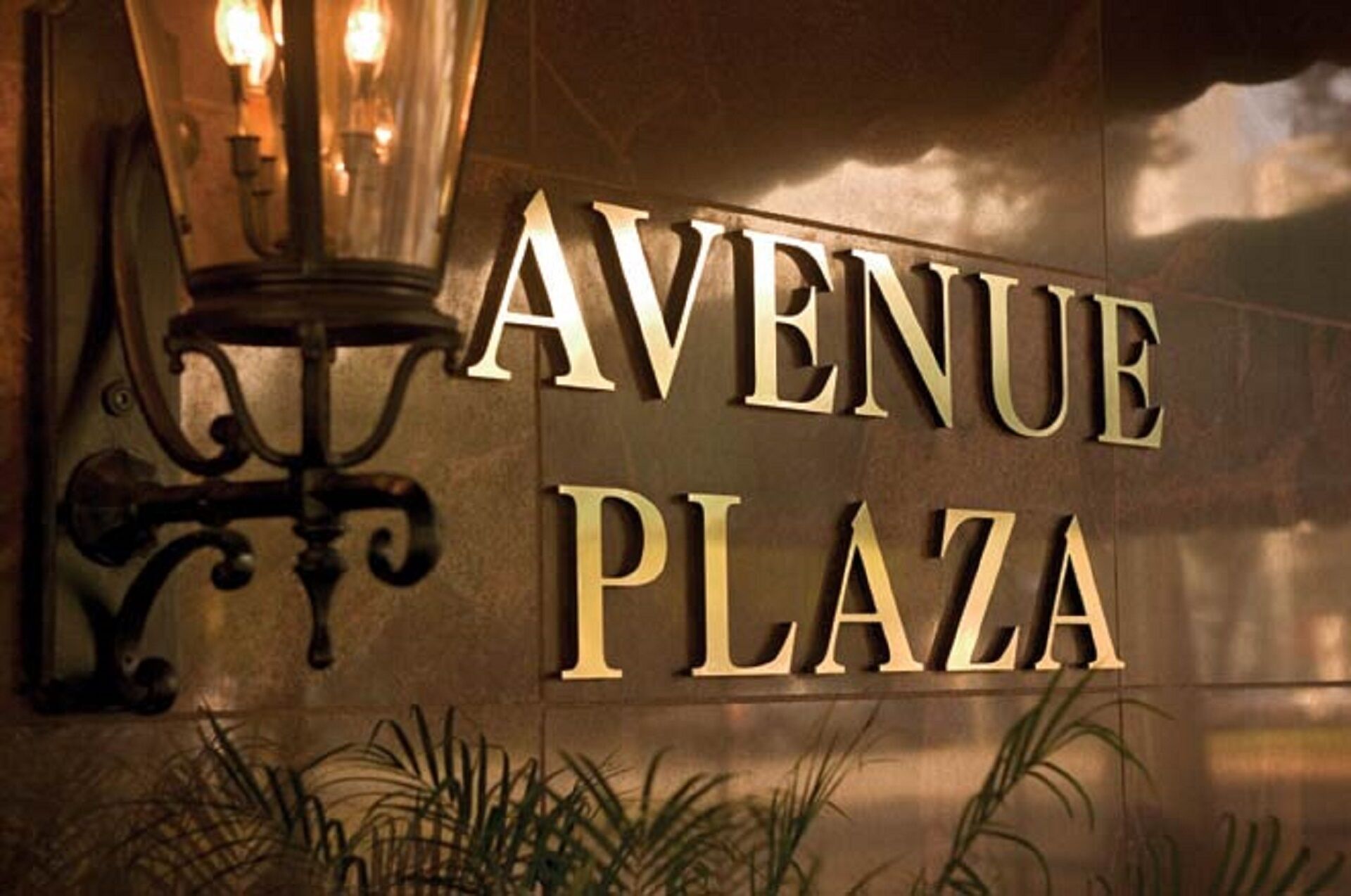 A sign for "AVENUE PLAZA" with a street lamp and some foliage in the foreground.