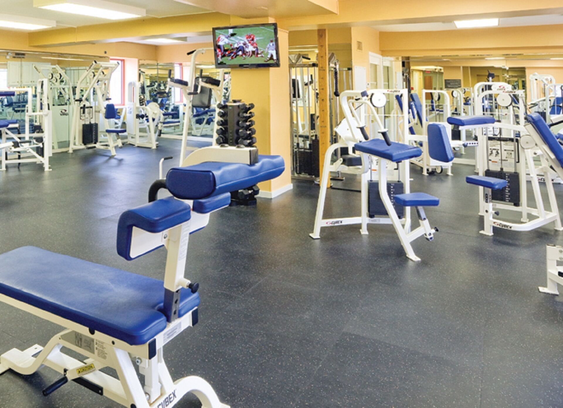 Een fitnessruimte met diverse trainingsapparaten, een aan de muur bevestigde televisie en een spiegelwand.