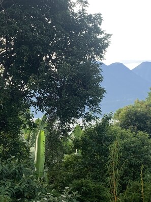 Un paysage verdoyant et luxuriant, avec une végétation dense et une chaîne de montagnes en arrière-plan.