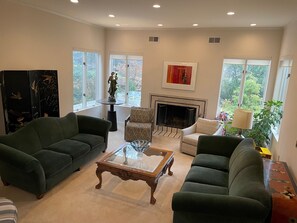 TV, fireplace, DVD player, stereo - Dramatic Family Home 30 Minutes From NYC (New Rochelle)