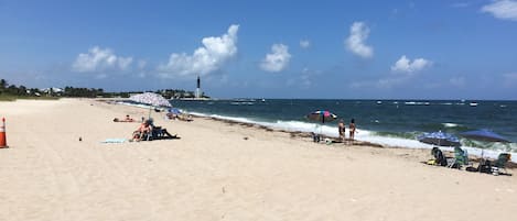 Plage à proximité, chaises longues, serviettes de plage