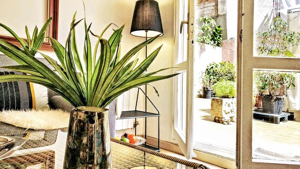 A room with a large green plant in a rustic vase, a black lamp, and a view of the outside through a glass door.