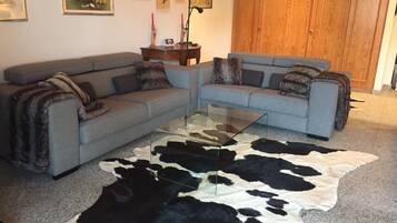 Fernseher, Kamin, DVD-Player, BĂŒcher