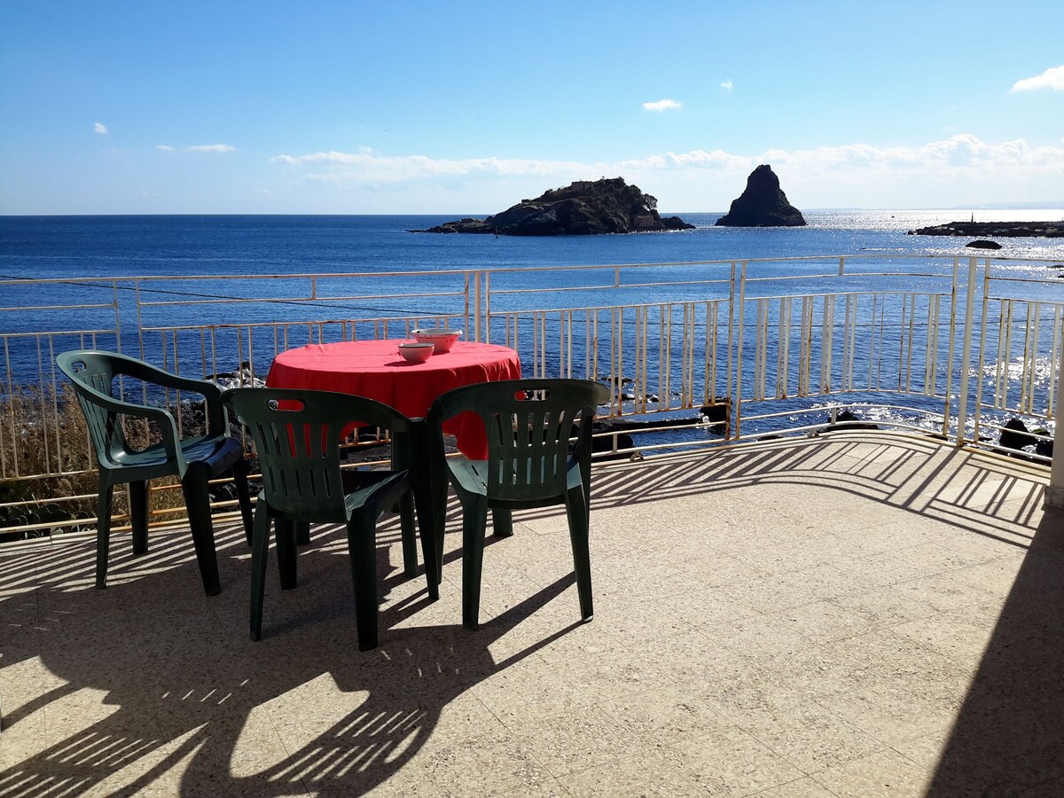 Imagen de perfil del propietario o de la propietaria