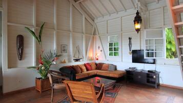 Smart-TV, DVD-spiller, bøker og musikkbibliotek