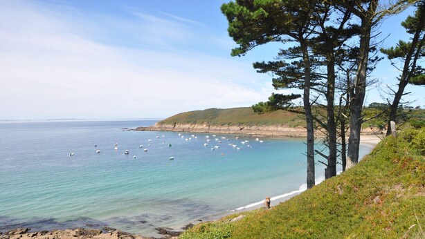 Un paysage côtier offrant une vue dégagée sur la mer, une plage de sable et une colline herbeuse parsemée de pins.