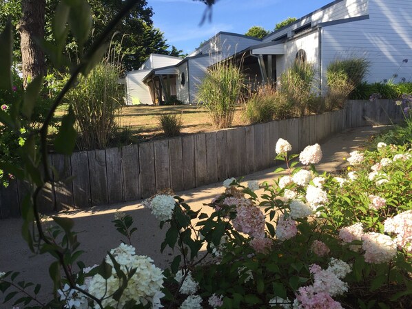 A residential area with a wooden fence, white house, and a garden with hydrangea flowers.