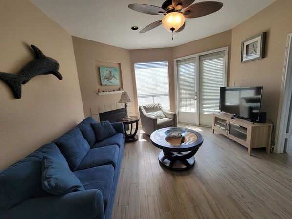 TV, fireplace, DVD player