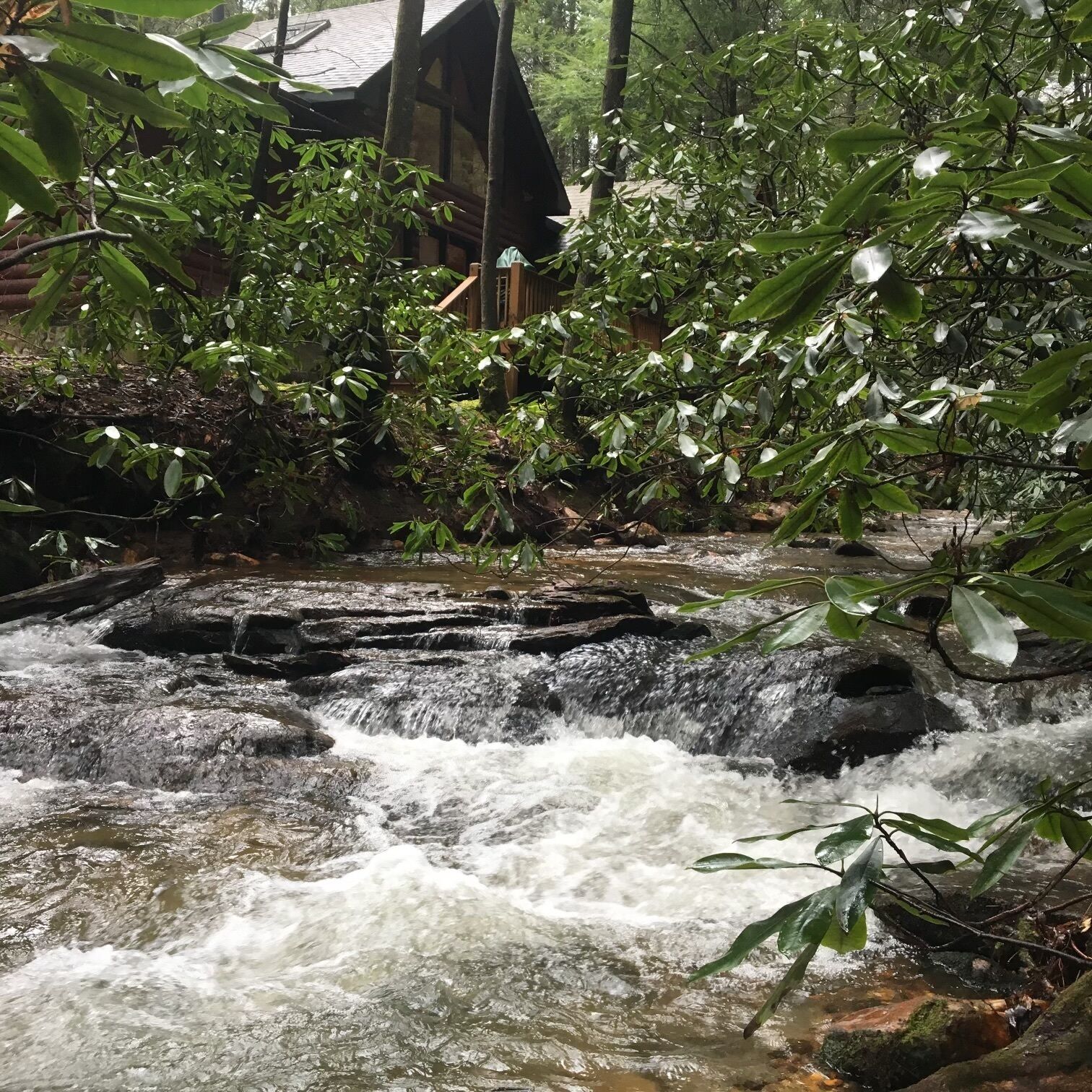 A natural water stream surrounded by dense foliage and a rustic wooden structure.