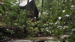 A natural water stream surrounded by dense foliage and a rustic wooden structure. - Rushing Creek Cabin, Private Haven, 5 Acres to Explore (Ellijay)