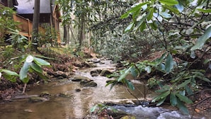 A wooden cabin with a porch, surrounded by dense forest and a flowing stream. - Rushing Creek Cabin, Private Haven, 5 Acres to Explore (Ellijay)