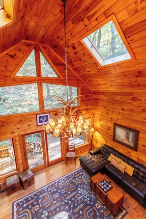 Smart TV, fireplace, DVD player, books