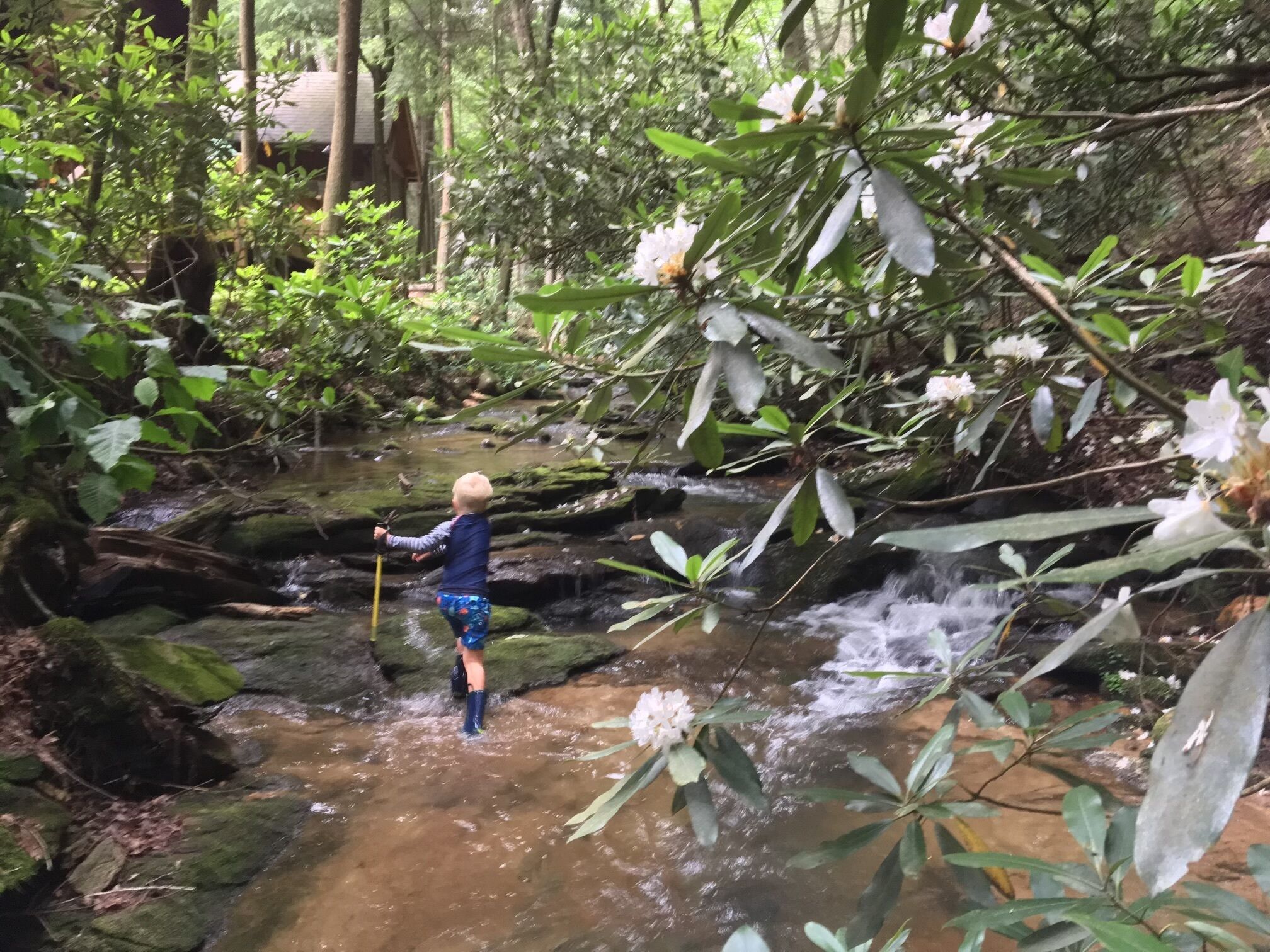 A child standing in a stream surrounded by lush greenery and white flowers.