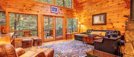 TV connectée, cheminée, lecteur de DVD, livres