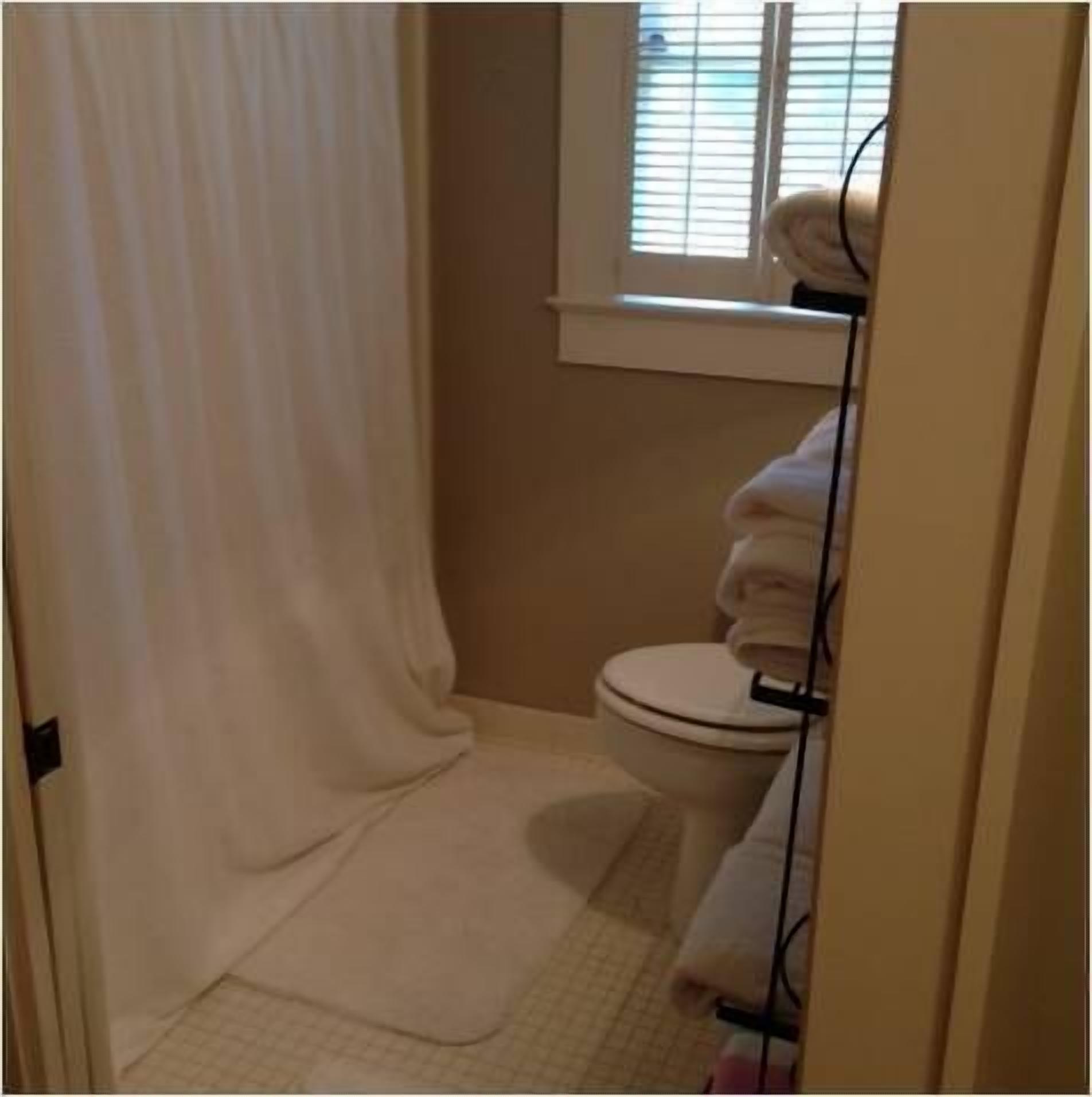 Forget Traffic And Parking.  Gracious Comfort, 7 Block Walk To Campus/downtown