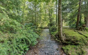 Imagen sin descripción, 5 de 28, botón