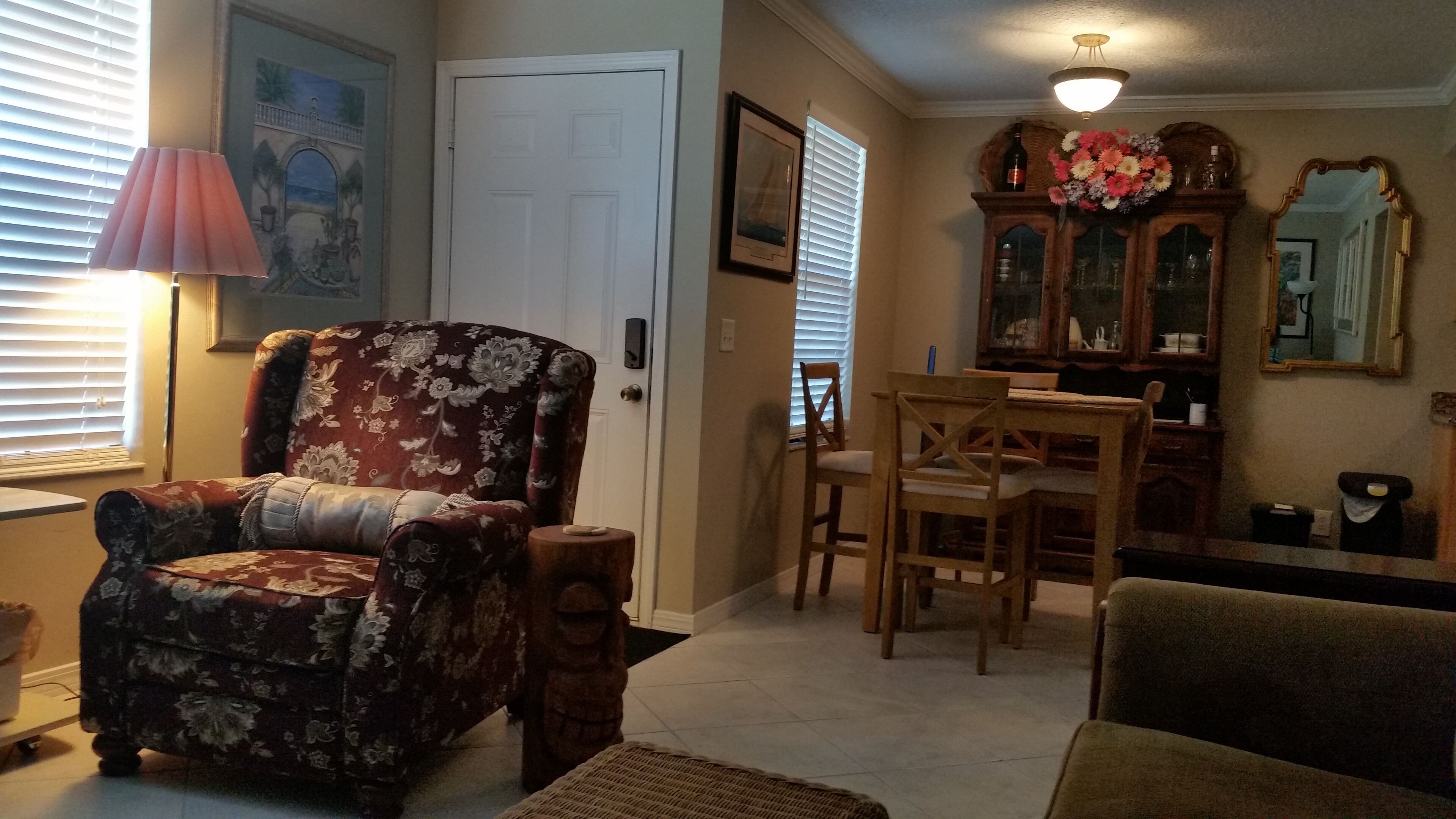 Smart TV, DVD player, books