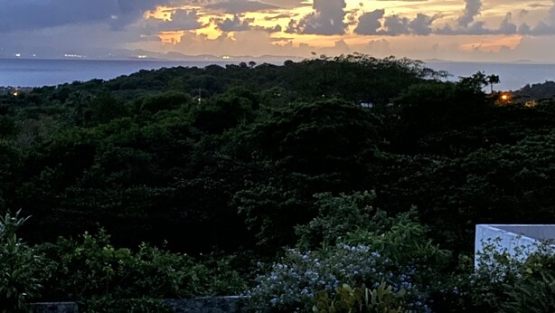 Ein Garten mit einem Steintisch und einer Bank, umgeben von Grünpflanzen und Blick auf das Meer bei Sonnenuntergang.