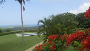Üppiger Garten mit einer Palme, einem Swimmingpool und Blick aufs Meer.