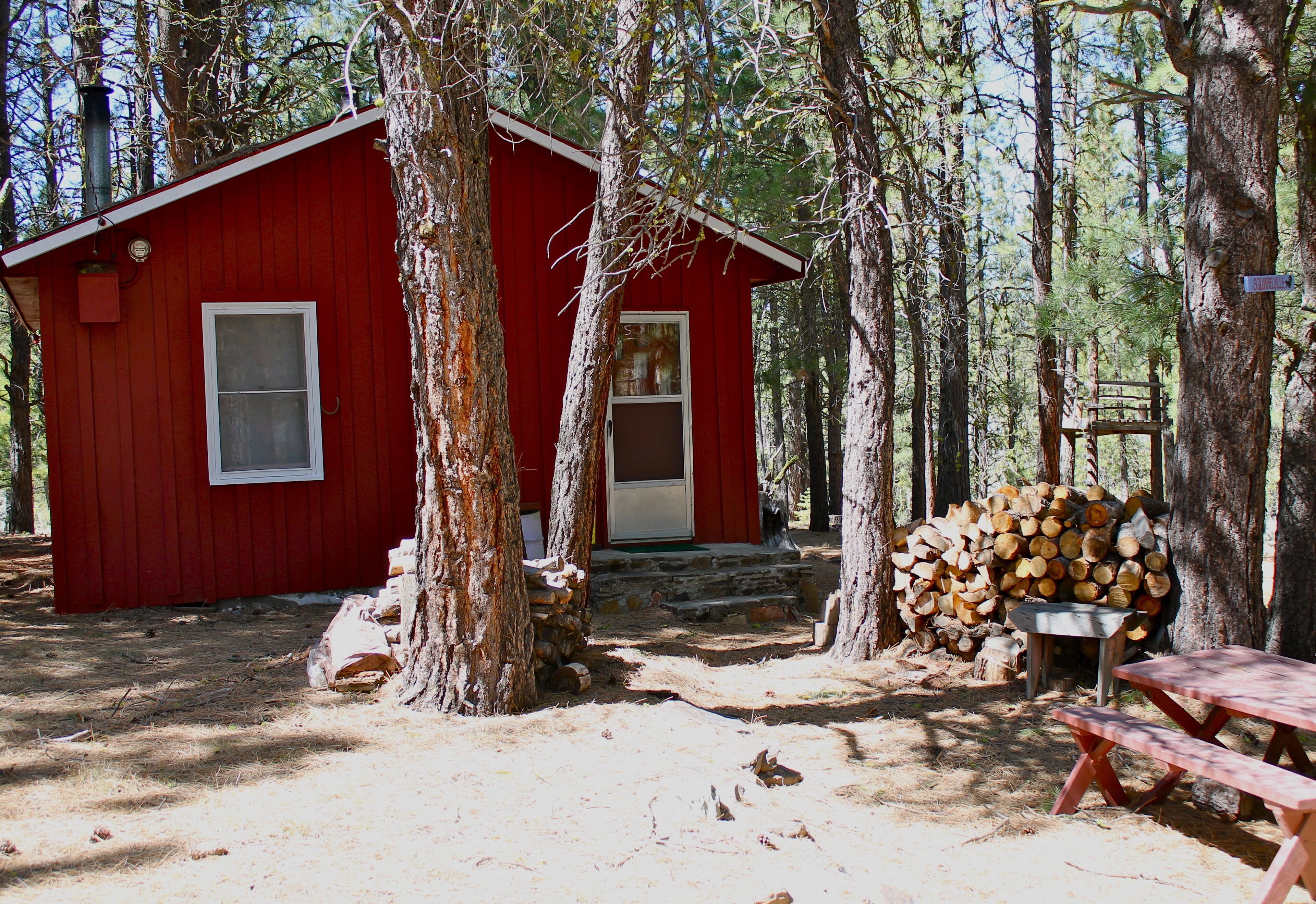 Rustic Cabin-"Squirrelville"